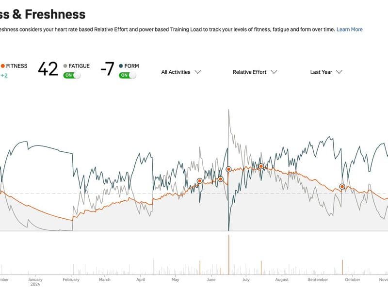 Form follows fitness